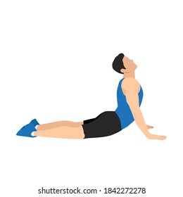 Man doing Cobra abdominal stretch. Old horse stretch. Abdominals exercise. Flat vector illustration isolated on white background.