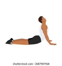 Man doing Cobra abdominal stretch. Old horse stretch. Abdominals exercise. Flat vector illustration isolated on white background.Editable file with layers