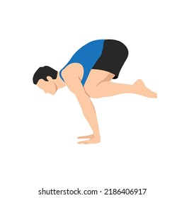 Man doing crane pose - Bakasana Yoga pose. Man workout fitness, aerobic and exercises. Flat vector illustration isolated on white background