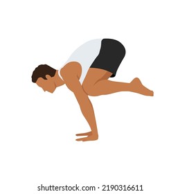 Man doing crane pose - Bakasana Yoga pose. Man workout fitness, aerobic and exercises. Flat vector illustration isolated on white background