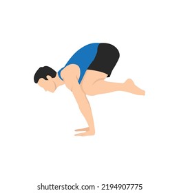 Man doing Crow pose bakasana exercise. Flat vector illustration isolated on white background