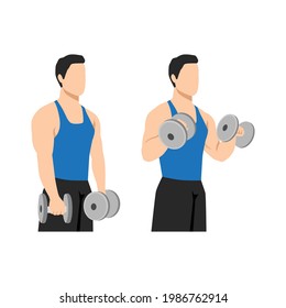 Man doing Dumbbell bicep reverse curls exercise. Flat vector illustration isolated on white background