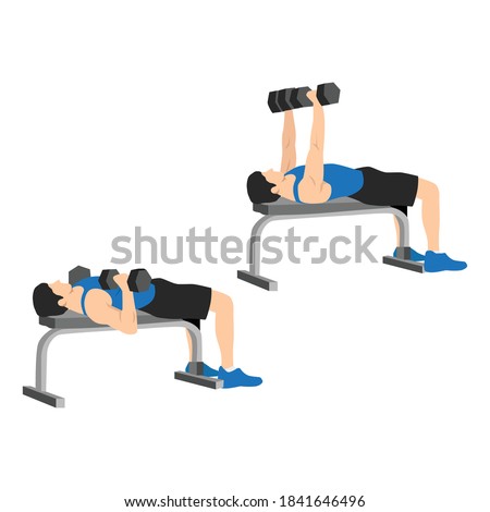 Man doing dumbbell flat bench press. Chest exercise. Flat vector illustration isolated on white background