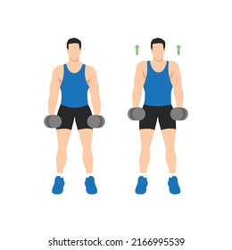 Man doing Dumbbell shrugs front view exercise. Flat vector illustration isolated on white background