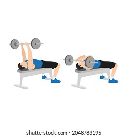 Man doing Flat bench barbell skull crushers exercise. Flat vector illustration isolated on white background