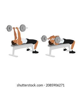 Man doing Flat bench barbell skull crushers exercise. Flat vector illustration isolated on white background
