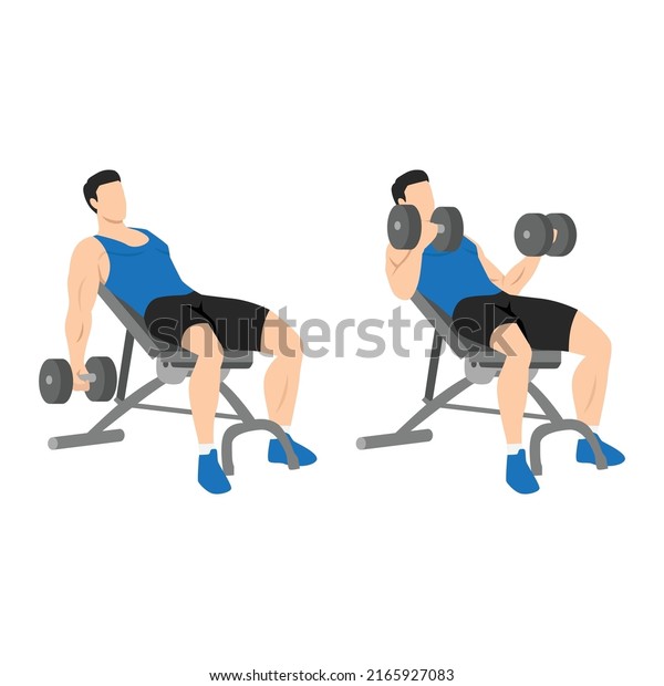 Man Doing Incline Dumbbell Curl Flat Stock Vector (Royalty Free ...