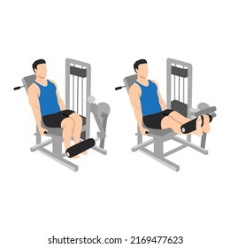 Man doing leg extension on machine exercise. Flat vector illustration isolated on white background