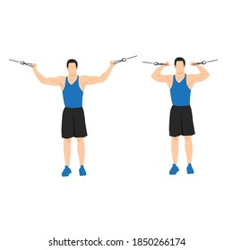 Man doing overhead cable curls. Crucifix curls. flat vector illustration isolated on different layers. Workout character