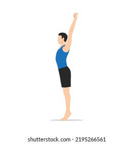 Man doing Palm Tree Pose on Tiptoes. Practice Urdhva Hastasana on Tiptoes. Flat vector illustration isolated on white background