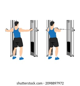 Man doing reverse cable flyes exercise. Flat vector illustration isolated on white background