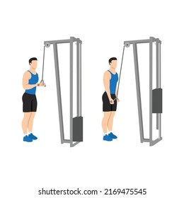 Man doing Reverse grip cable triceps extension exercise. Flat vector illustration isolated on white background