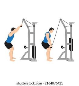 Man doing Rope pulldown exercise. Flat vector illustration isolated on white background