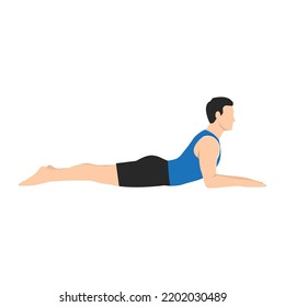 Man doing salamba bhujangasana sphinx pose exercise. Flat vector illustration isolated on white background