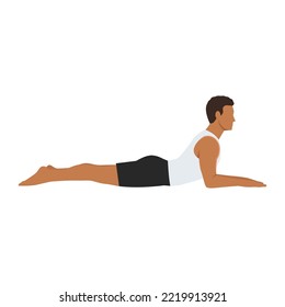 Man doing salamba bhujangasana sphinx pose exercise. Flat vector illustration isolated on white background