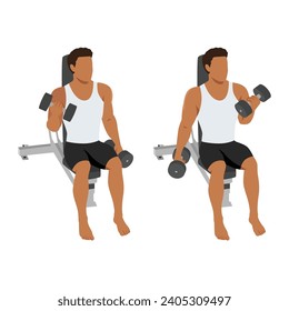 Man doing seated alternating bicep twist curl exercise. Flat vector illustration isolated on white background