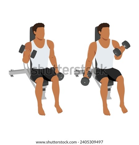 Man doing seated alternating bicep twist curl exercise. Flat vector illustration isolated on white background