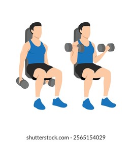 Man doing seated both arms dumbbell bicep curls exercise. Flat vector illustration isolated on white background