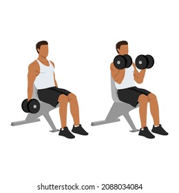 Man Doing Seated Dumbbell Bicep Curls Exercise. Flat Vector Illustration Isolated On White Background