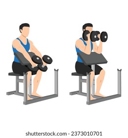 Man doing seated dumbbell preacher bicep hammer curls exercise. Flat vector illustration isolated on white background