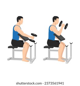 Man doing seated dumbbell preacher bicep hammer curls exercise. Flat vector illustration isolated on white background