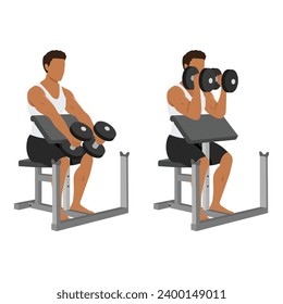Man doing seated dumbbell preacher bicep hammer curls exercise. Flat vector illustration isolated on white background