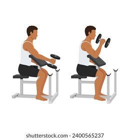 Man doing seated dumbbell preacher bicep hammer curls exercise. Flat vector illustration isolated on white background