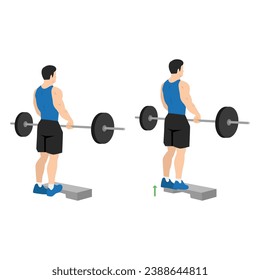 Man doing standing calf raises with barbell exercise. Flat vector illustration isolated on white background