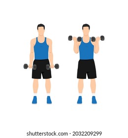 Man Doing Standing Dumbbell Bicep Curls. Flat Vector Illustration Isolated On Different Layers. Workout Character