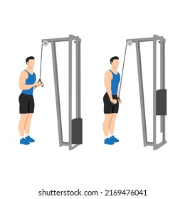 Man doing Triceps presdown  exercise. Flat vector illustration isolated on white background