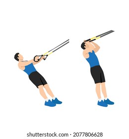 Man doing TRX Suspension strap bicep curls exercise. Flat vector illustration isolated on white background