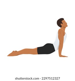 Man doing upward facing dog pose urdhva muka exercise. Flat vector illustration isolated on white background