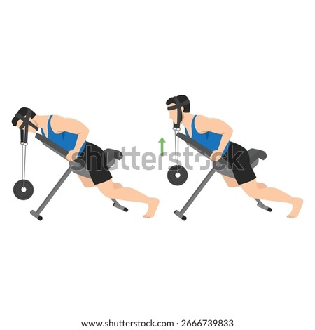 Man doing weighted neck extension on an incline bench using a neck harness to build strength. Flat vector illustration isolated on white background