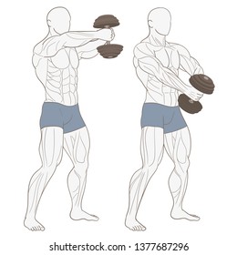 Man doing weights in the gym. Exercising muscles in the gym.