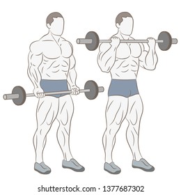 Man doing weights in the gym. Exercising muscles in the gym.