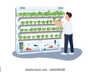 Man and domestic greenhouse, gardener flat color vector faceless character. Plants and fishes care, greenery growing isolated cartoon illustration for web graphic design and animation