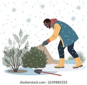 A man dressed in warm winter clothes is covering a bush with fabric to protect it from snow and frost. Snow is on the ground, and snowflakes are falling. A shovel lies nearby on the ground.