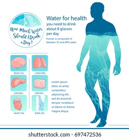 Man drinking water. Human body and internal organs balance of water. Healthy lifestyle concept, info graphic. Hand-drawn vector isolated illustration.