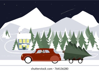 Man drives in a retro car on a winter road. A large Christmas tree in a trailer. Starry sky, winter snow forest at night, christmas. Vector illustration.