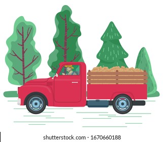 Man driving lorry with potato harvest on road in countryside. Red car ride from farm to town with vegetables on hind carriage. Beautiful landscape with green trees. Vector illustration in flat style