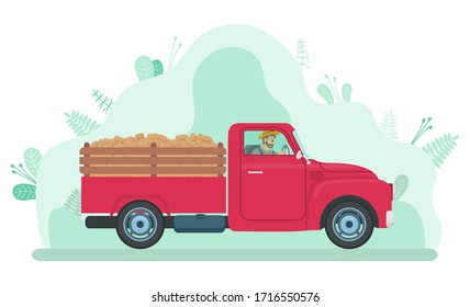 Man driving lorry with potato harvest on road in countryside. Farmer in red big car with vegetables on hindcarriage. Plants with stem and leaves, green abstract background. Vector in flat style