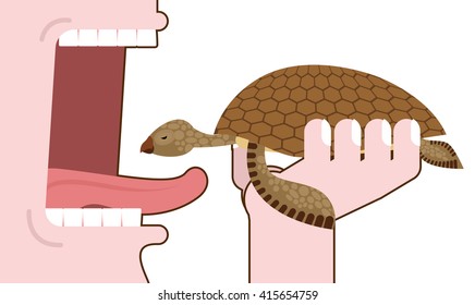 Man eating turtle. Destruction of amphibians. elimination of wildlife. Consumption natatorial reptiles. Extermination of marine animals. Live food. Open mouth for food. tongue and teeth.
