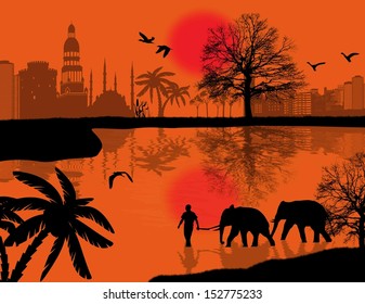 Man with elephants on water near the city buildings background
