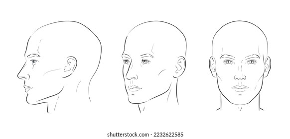 Man face portrait three different angles   turns male head  Bald hairless man  Close  up vector line sketch  Set different view front  profile  three  quarter boy
