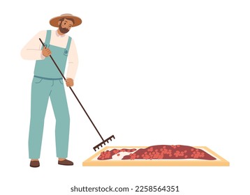 Hombre en la granja trabajando en la producción de café, hombres aislados y uniformados tendiendo granos de café para secar. Procesamiento y cultivo de café. Vector de estilo plano