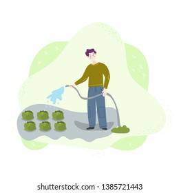 A man farmer happy worker hoses a crop of green cabbage on the field with a water hose. Season harvest work scene. Isolated flat trendy cartoon funny modern style Illustration on white background.