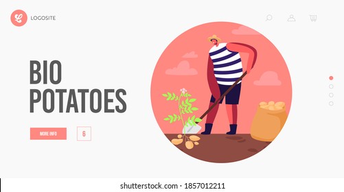 Man Farmer Harvesting Potato in Sack Landing Page Template. Gardener Male Character Harvesting Ripe Vegetables Crop, Healthy Farm Production on Ranch, Autumn Seasonal Work. Linear Vector Illustration