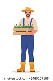 Man farmer holding box with seedlings in hands. Farming work, gardening. Agricultural worker, Gardener, agronomist.