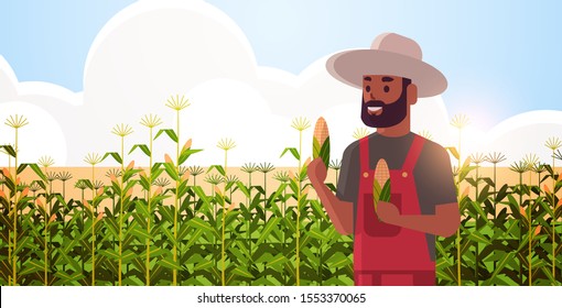 man farmer holding corn cob african american countryman in overalls standing on corn field organic agriculture farming harvesting season concept flat portrait horizontal vector illustration