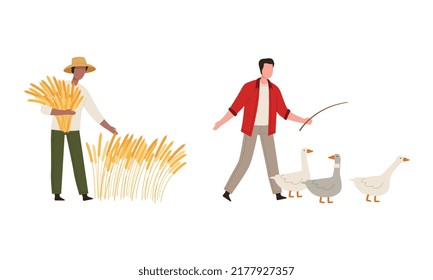 Man Farmer in Straw Hat Gathering Wheat Spikelet and with Geese Vector Illustration Set